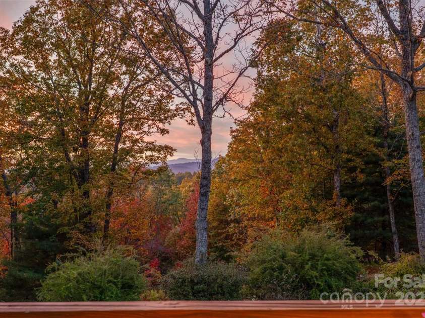 325, 141 & 75 Owl Haven Lane, Cedar Mountain, NC 28718.  MLS# CAR4315418, YatesRealty ID 2150. 