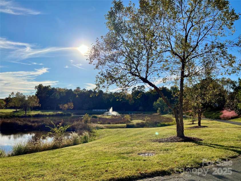 12123 Monteith Grove Drive, Huntersville, NC 28078.  MLS# CAR4229051, YatesRealty ID 2151. 