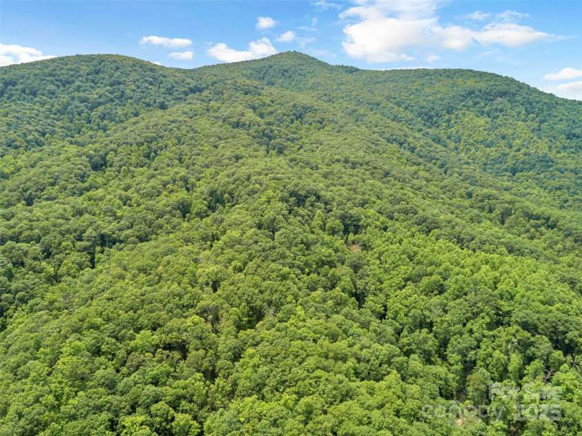 252 Idylwild Lane, Black Mountain, NC 28711.  MLS# CAR4267364, YatesRealty ID 21511. 