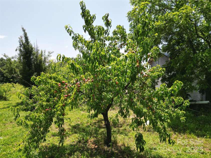 843 Upper White Store Road, Peachland, NC 28133.  MLS# CAR4269123, YatesRealty ID 21512. 