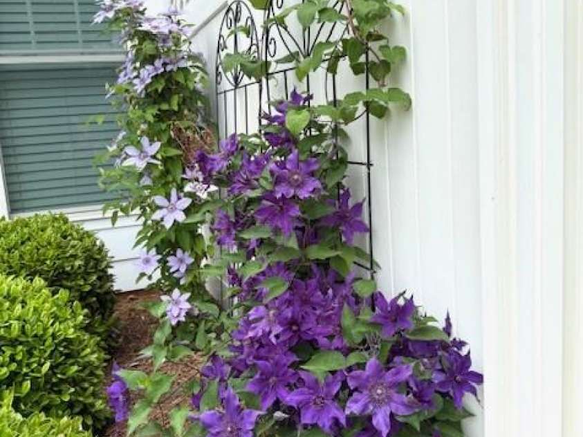 216 Harrison Lane, Locust, NC 28097.  MLS# CAR4244382, YatesRealty ID 21537. Established flower outside breakfast area