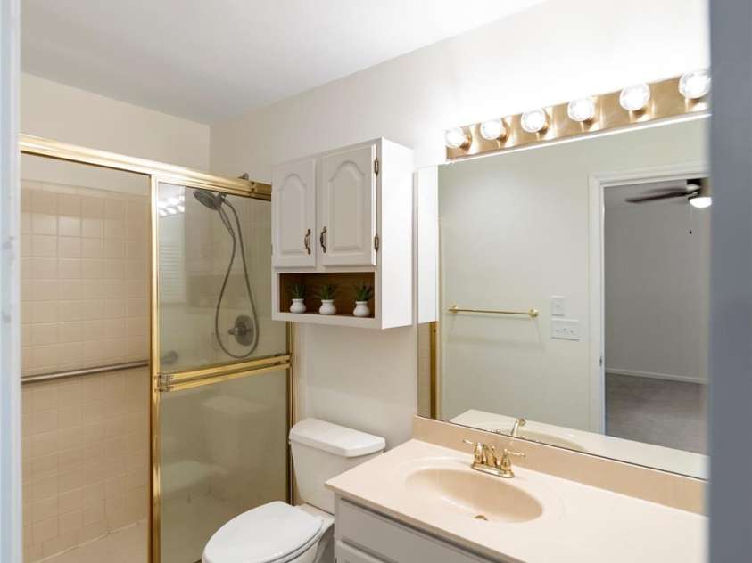 407 Sweetgum Drive, Fort Mill, SC 29715.  MLS# CAR4272607, YatesRealty ID 21552. Primary bath with walk-in shower