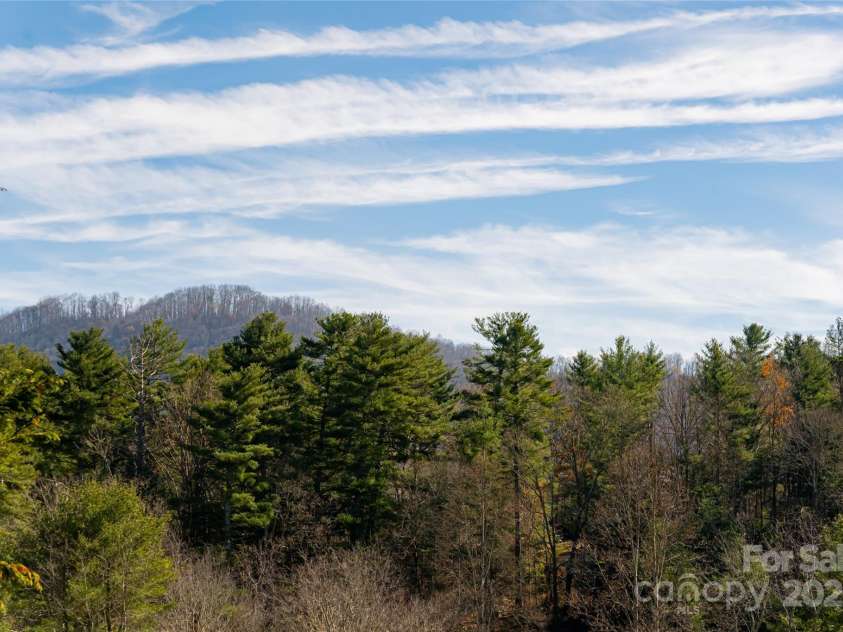 261 Lower Christ School Road, Fletcher, NC 28732.  MLS# CAR4201835, YatesRealty ID 21592. 