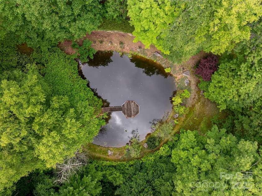 303 Flying Hawk Trail, Waynesville, NC 28786.  MLS# CAR4272138, YatesRealty ID 21603. Trout pond is fed from neighboring mountain stream