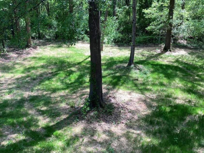 1889 Oak Hollow Road, Gastonia, NC 28054.  MLS# CAR4249835, YatesRealty ID 21623. 