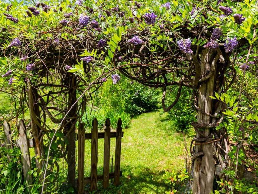 1492 Murray Road, Canton, NC 28716.  MLS# CAR4376547, YatesRealty ID 21656. Wisteria covered gate