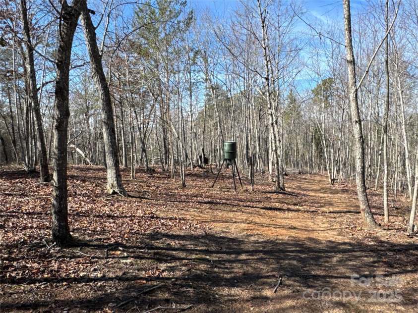 5347 Jackson White Road, Lawndale, NC 28090.  MLS# CAR4273335, YatesRealty ID 21660. 