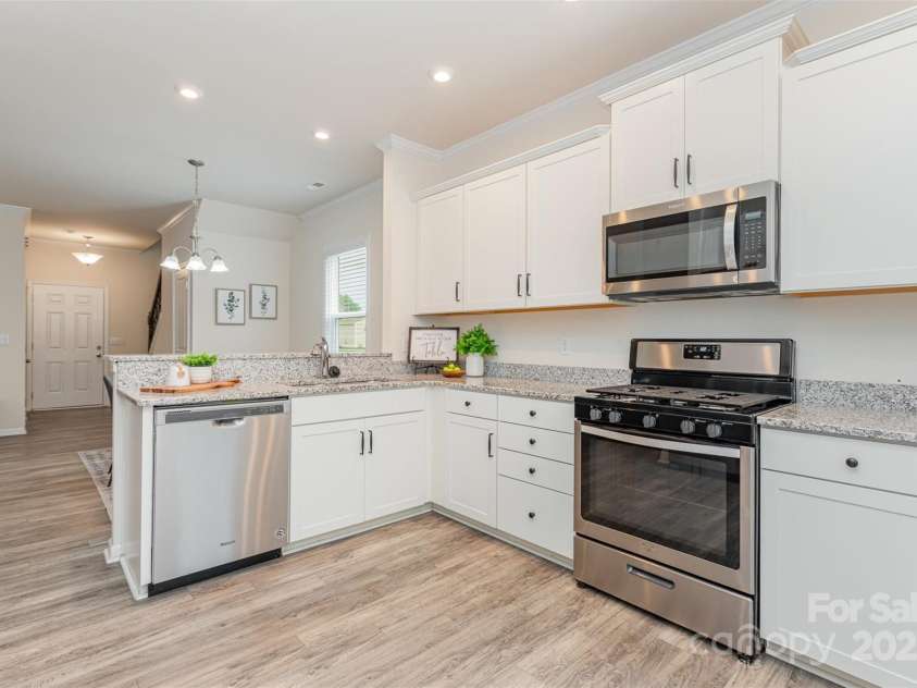 1514 Starmount Cove Lane, Charlotte, NC 28210.  MLS# CAR4272312, YatesRealty ID 21664. 