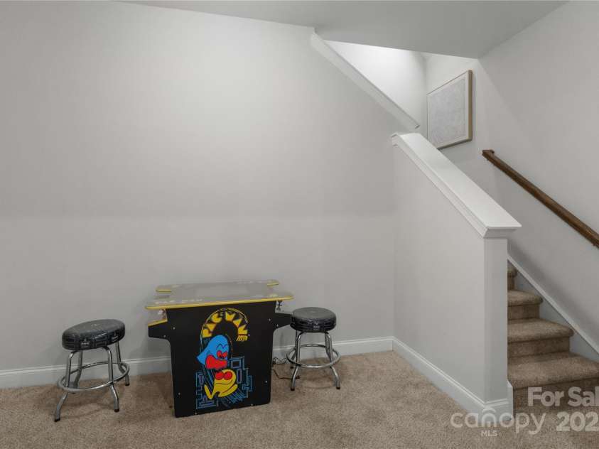 3817 Arial Lane, York, SC 29745.  MLS# CAR4256057, YatesRealty ID 21687. Basement (1 second primary bedroom downstairs and 2 rooms that can be used as flex/office space