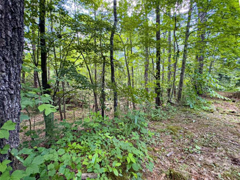 95 Idlewood Drive, Marion, NC 28752.  MLS# CAR4263726, YatesRealty ID 21708. 