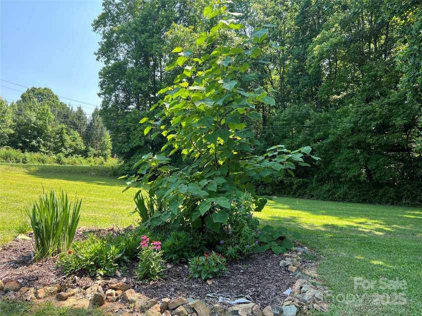 33611 Mann Road, Albemarle, NC 28001.  MLS# CAR4247905, YatesRealty ID 21759. Front garden area from driveway.