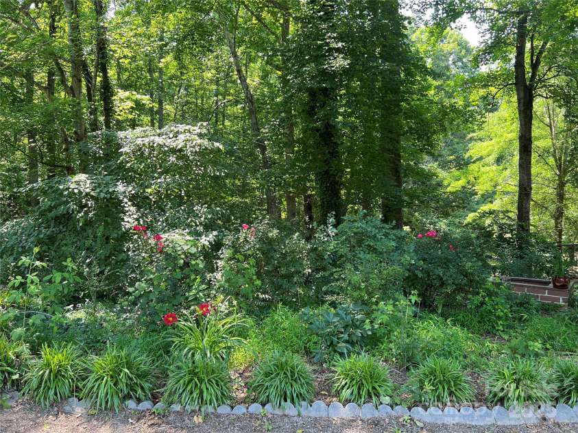 33611 Mann Road, Albemarle, NC 28001.  MLS# CAR4247905, YatesRealty ID 21759. Front side garden