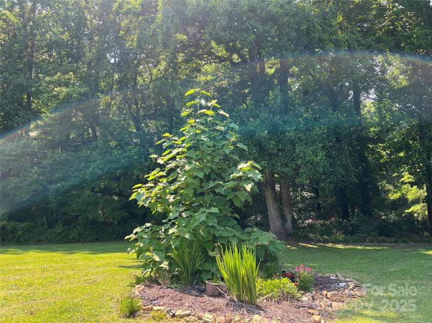 33611 Mann Road, Albemarle, NC 28001.  MLS# CAR4247905, YatesRealty ID 21759. Front yard garden