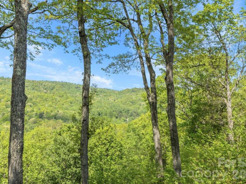 8 Spring Ridge Lane, Hendersonville, NC 28739.  MLS# CAR4374378, YatesRealty ID 21776. Main Level