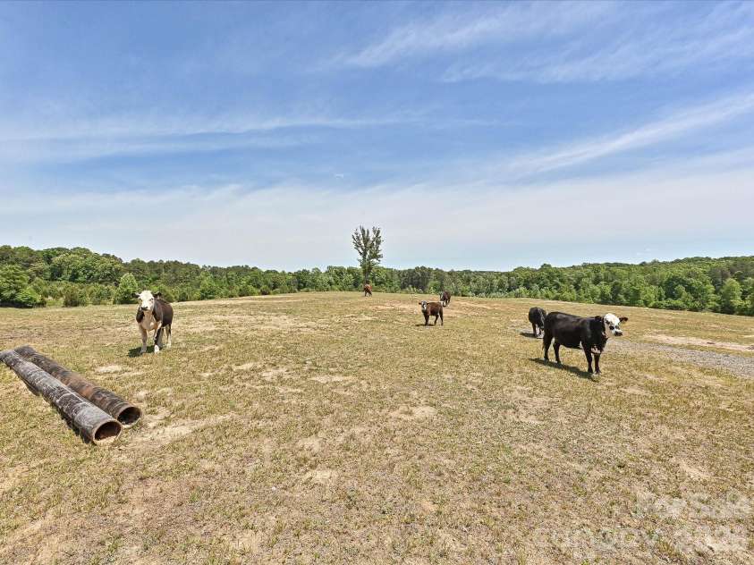 3556 Walling Drive, Newton, NC 28658.  MLS# CAR4376025, YatesRealty ID 21781. Neighbors