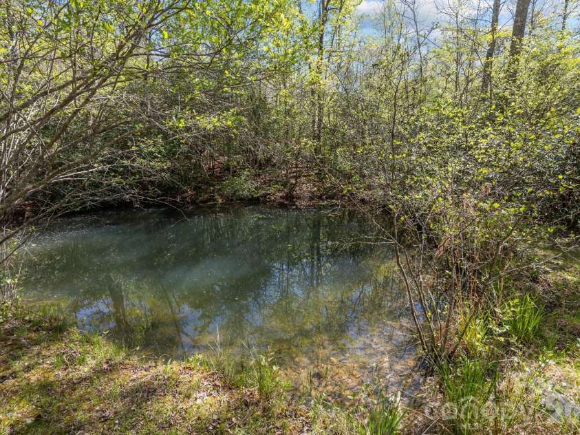 78 Bird Creek Estates Road, Black Mountain, NC 28711.  MLS# CAR4373623, YatesRealty ID 21792. Pond