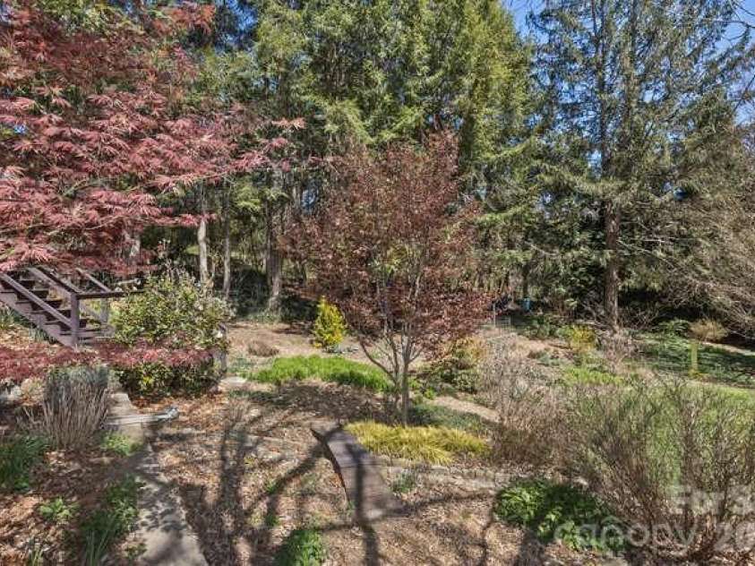 179 Marlborough Road, Asheville, NC 28804.  MLS# CAR4355391, YatesRealty ID 21844. Backyard trees and shrubbery beds