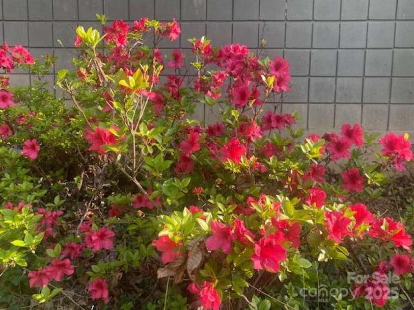 27 Stokes Drive, Asheville, NC 28805.  MLS# CAR4241157, YatesRealty ID 21852. 