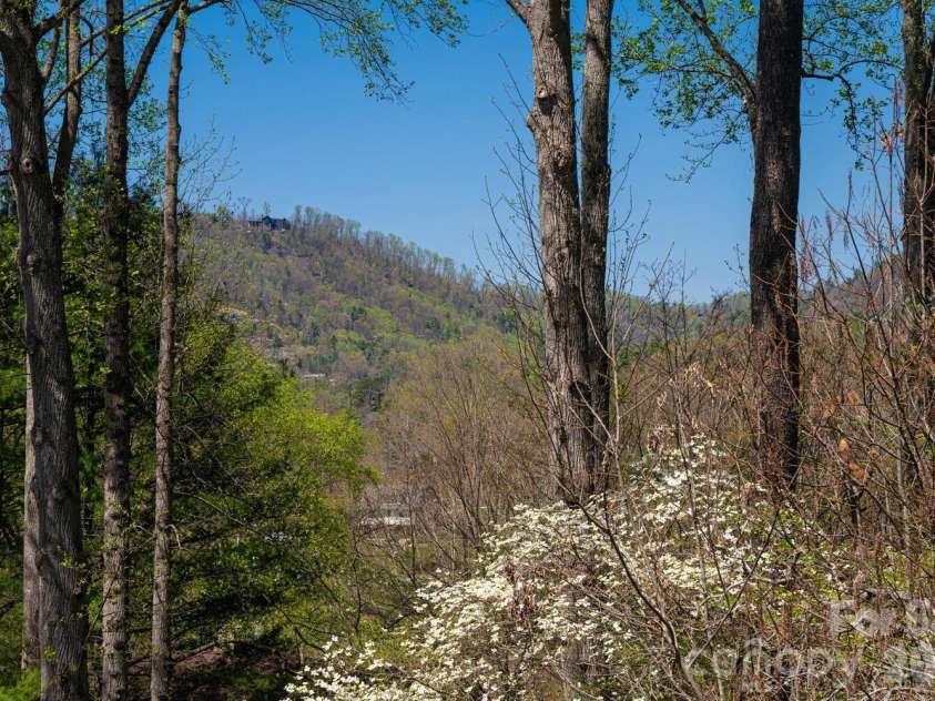 1002 Timber Lane, Asheville, NC 28804.  MLS# CAR4362891, YatesRealty ID 21894. Mountain View