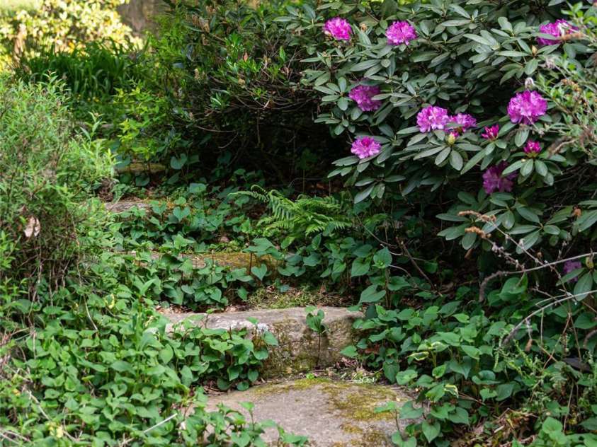 18 Forest Road, Asheville, NC 28803.  MLS# CAR4376701, YatesRealty ID 21903. 