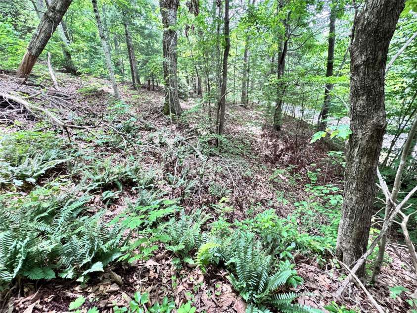 39 Hill and Dale Road, Leicester, NC 28748.  MLS# CAR4269254, YatesRealty ID 21918. 