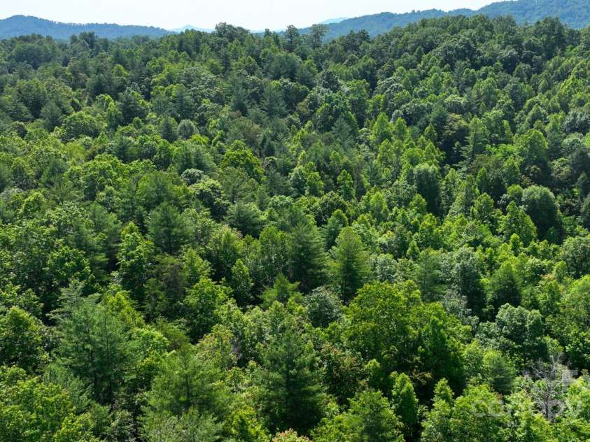 2967 Roby Martin Road, Lenoir, NC 28645.  MLS# CAR4328252, YatesRealty ID 21951. 