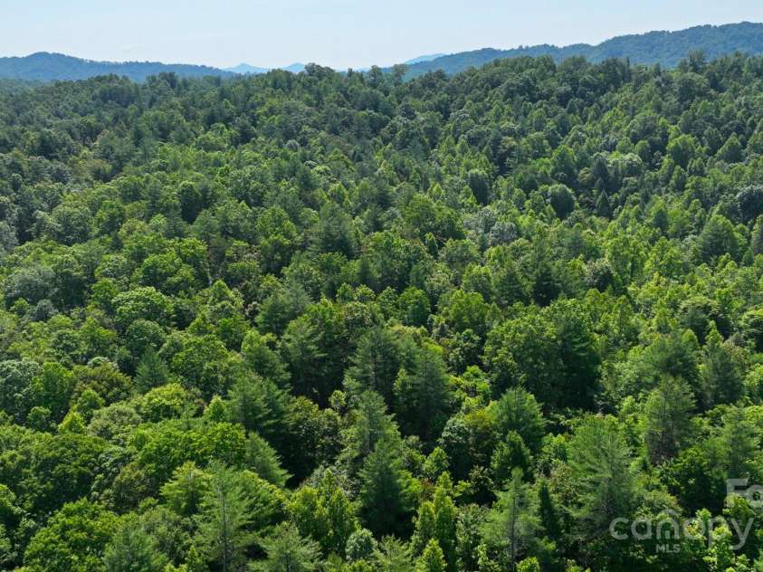 2967 Roby Martin Road, Lenoir, NC 28645.  MLS# CAR4328252, YatesRealty ID 21951. 