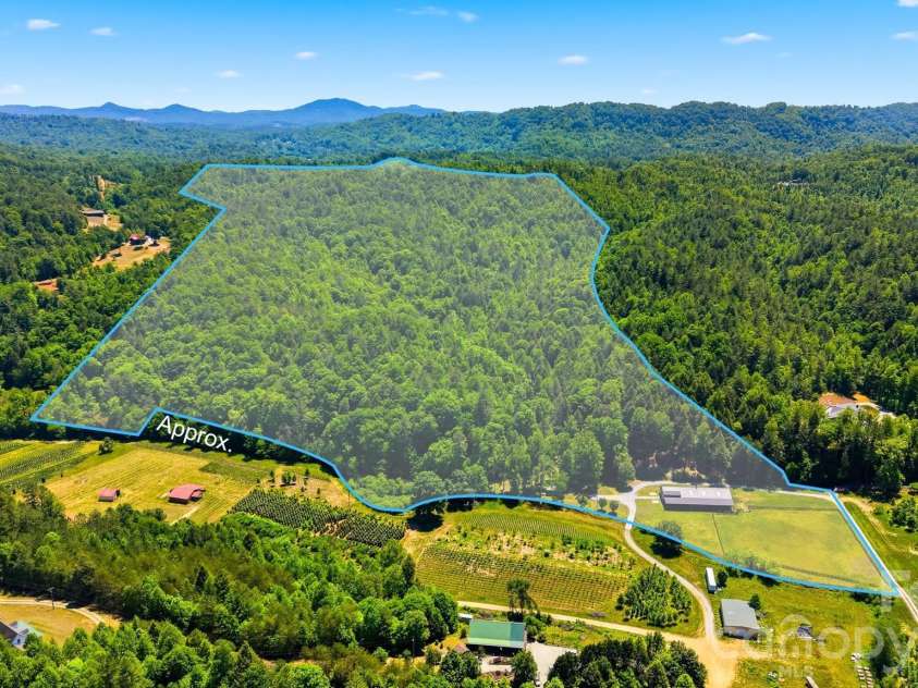 81 +/- Acres 2967 Roby Martin Road, Lenoir, NC 28645.  MLS# CAR4382280, YatesRealty ID 22039. 