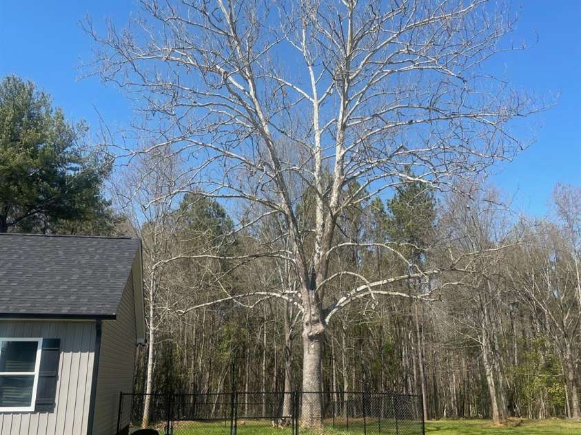 103 Falls Street, Lawndale, NC 28090.  MLS# CAR4338750, YatesRealty ID 22104. 