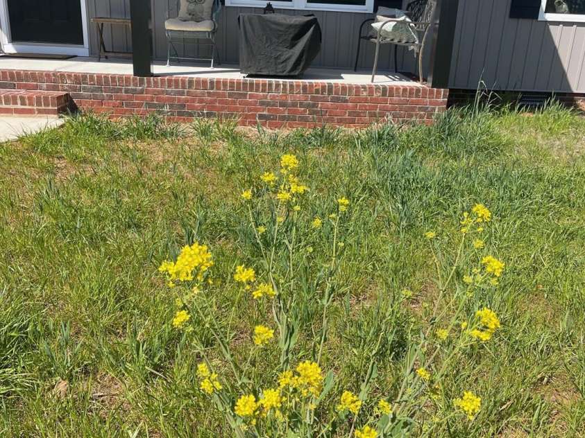 103 Falls Street, Lawndale, NC 28090.  MLS# CAR4338750, YatesRealty ID 22104. 