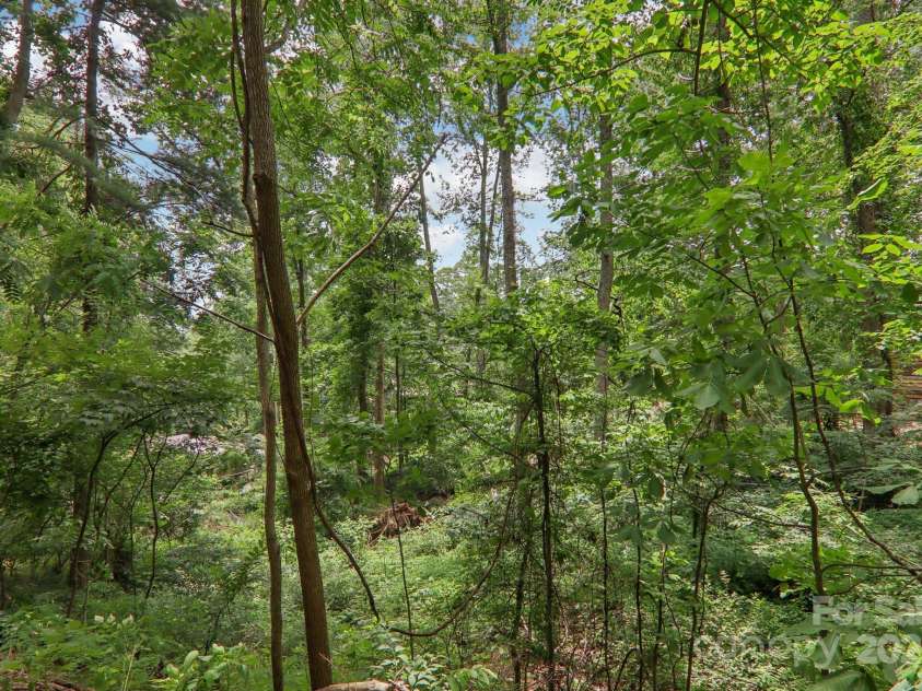 58 Oak Terrace, Arden, NC 28704.  MLS# CAR4269923, YatesRealty ID 22121. 