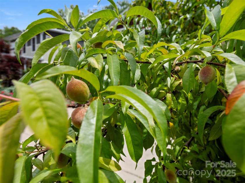 236 Sand Hill Road, Asheville, NC 28806.  MLS# CAR4258123, YatesRealty ID 22122. 