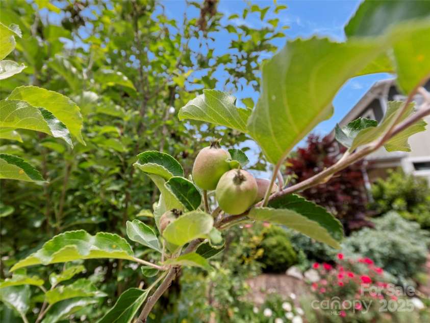 236 Sand Hill Road, Asheville, NC 28806.  MLS# CAR4258123, YatesRealty ID 22122. 