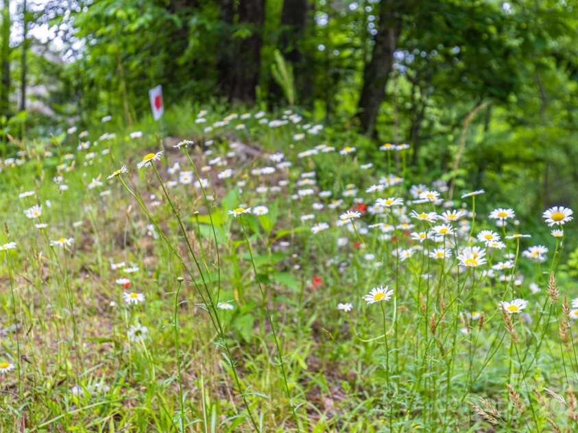 109 Tumblebug Trail Road, Flat Rock, NC 28731.  MLS# CAR4266640, YatesRealty ID 22153. 