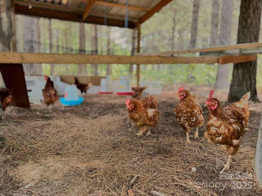 1808 Aiken Road, Blackstock, SC 29014.  MLS# CAR4275355, YatesRealty ID 22209. 