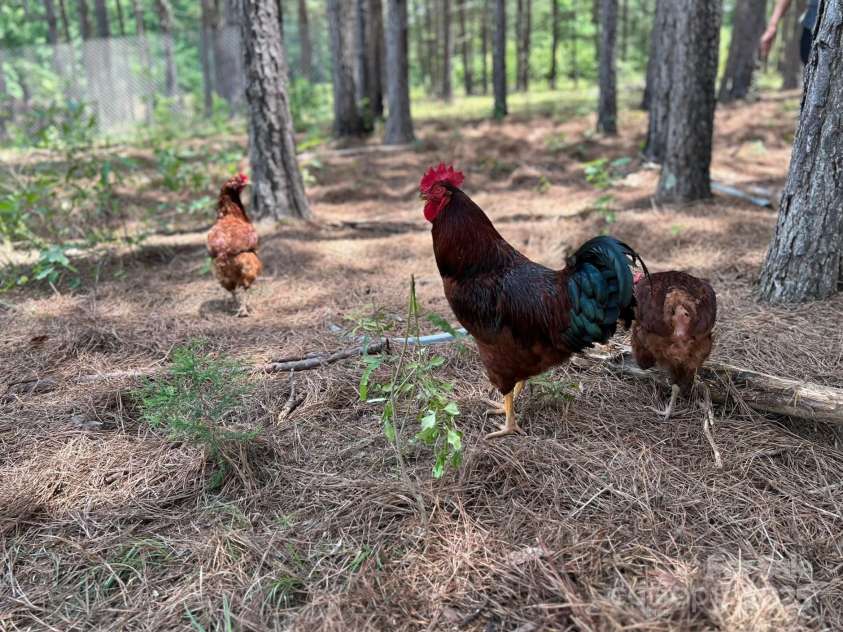 1808 Aiken Road, Blackstock, SC 29014.  MLS# CAR4275355, YatesRealty ID 22209. 