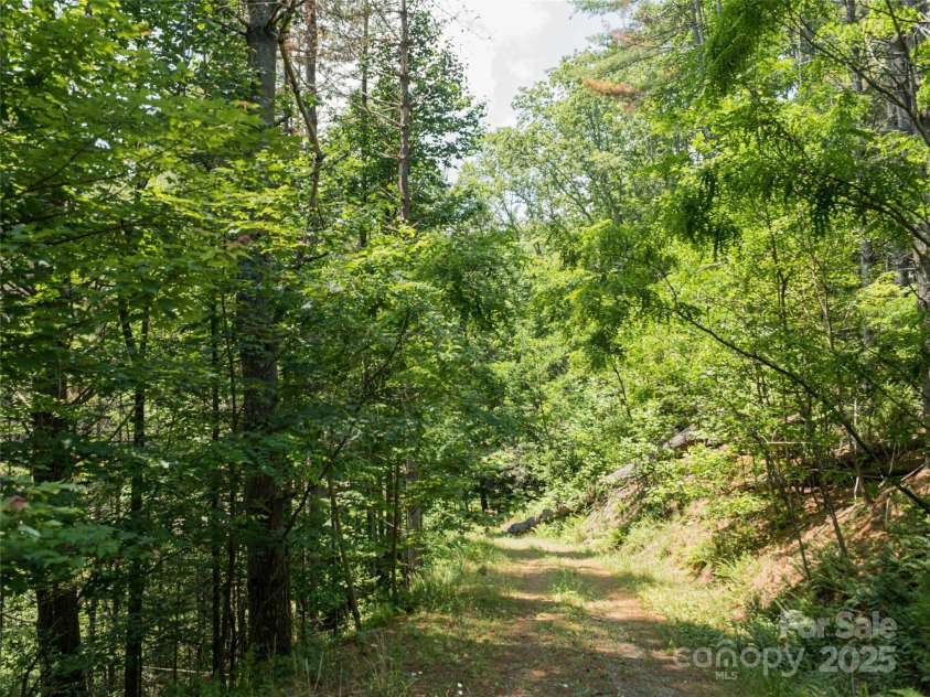 1000 Sutton Creek Road, Pisgah Forest, NC 28768.  MLS# CAR4266432, YatesRealty ID 22223. 