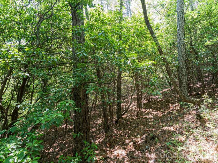 1000 Sutton Creek Road, Pisgah Forest, NC 28768.  MLS# CAR4266432, YatesRealty ID 22223. 