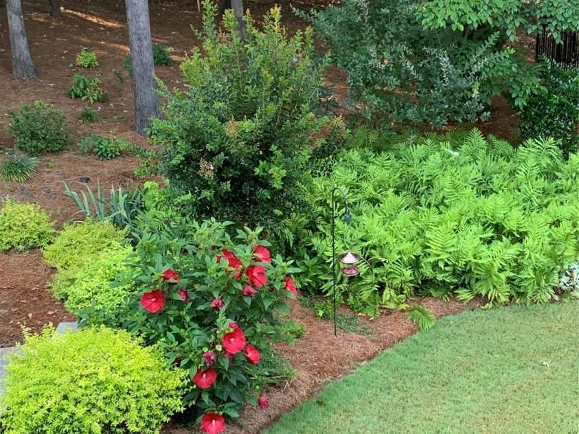 13824 Glen Abbey Drive, Charlotte, NC 28278.  MLS# CAR4273393, YatesRealty ID 22236. Seasonal flowers/plants throughout the year