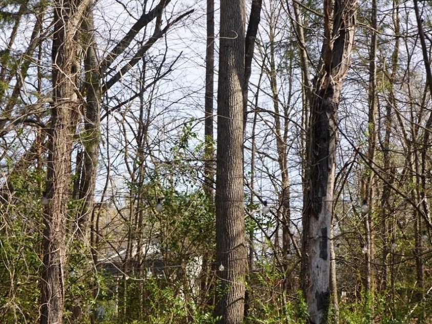 2613 Lane Street, Kannapolis, NC 28083.  MLS# CAR4359170, YatesRealty ID 22248. 