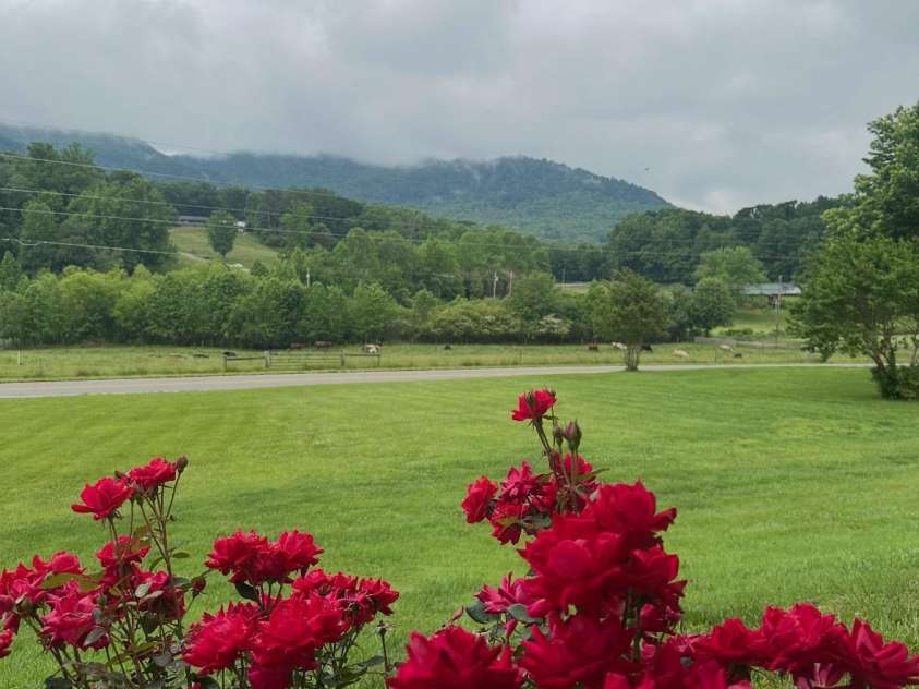 5158 Jenkins Road, Morganton, NC 28655.  MLS# CAR4273419, YatesRealty ID 22261. 