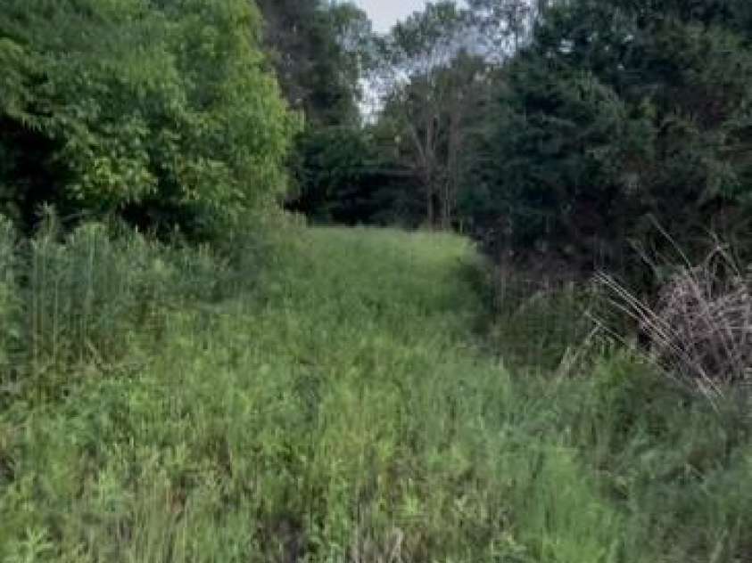 84 Sumner Avenue, Concord, NC 28027.  MLS# CAR4257881, YatesRealty ID 22263. 