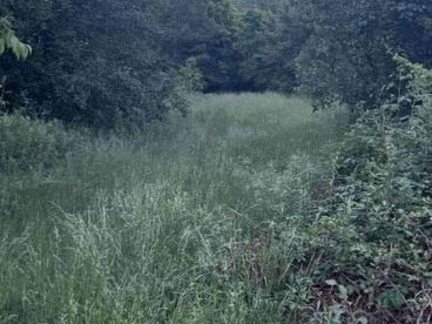 84 Sumner Avenue, Concord, NC 28027.  MLS# CAR4257881, YatesRealty ID 22263. 