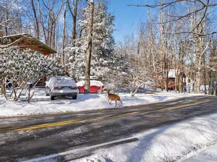 701 Charter Hills Road, Beech Mountain, NC 28604.  MLS# CAR4375114, YatesRealty ID 22265. 