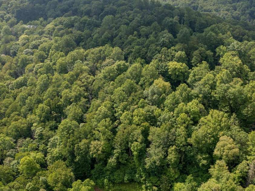 178 Susanna Cove Road, Mars Hill, NC 28754.  MLS# CAR4267675, YatesRealty ID 22266. Aerial View