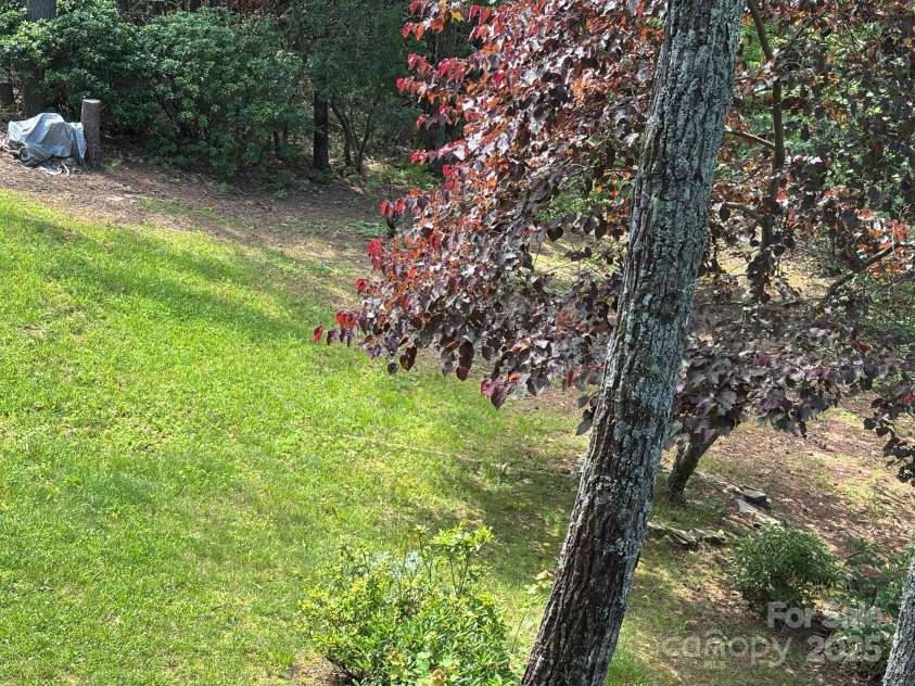 151 Wipprecht Drive, Spruce Pine, NC 28777.  MLS# CAR4272917, YatesRealty ID 22294. 