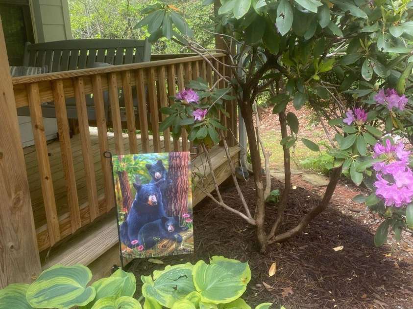 151 Wipprecht Drive, Spruce Pine, NC 28777.  MLS# CAR4272917, YatesRealty ID 22294. 