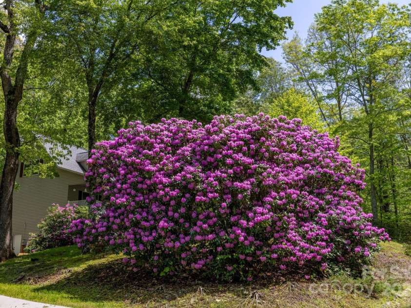 866 Rivers Edge Road, Sparta, NC 28675.  MLS# CAR4260399, YatesRealty ID 22318. 