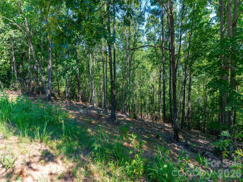 2026 Deep Gap Farm Road, Mill Spring, NC 28756.  MLS# CAR4419429, YatesRealty ID 2235. 