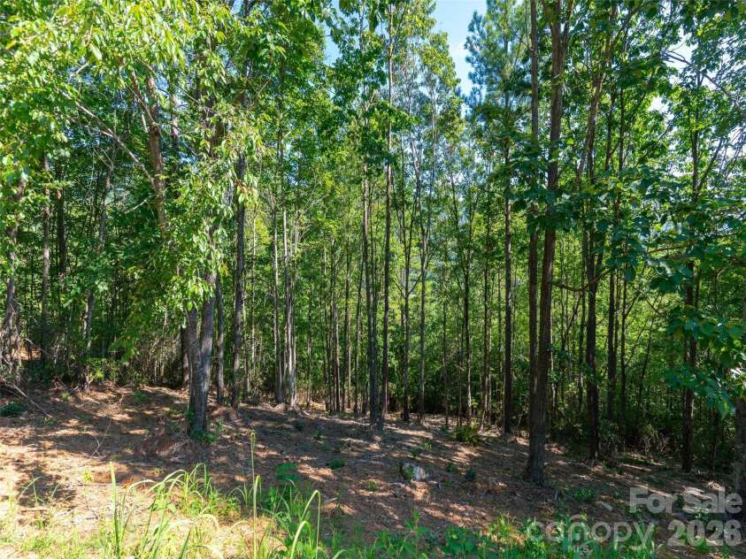 2026 Deep Gap Farm Road, Mill Spring, NC 28756.  MLS# CAR4419429, YatesRealty ID 2235. 